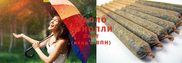 спиды Бородино