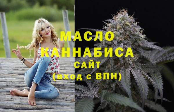 спиды Бородино