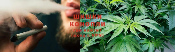 спиды Бородино