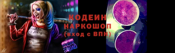 спиды Бородино