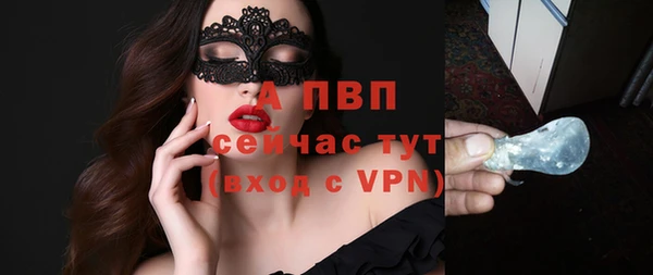 спиды Бородино
