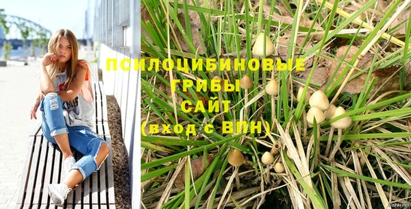 спиды Бородино